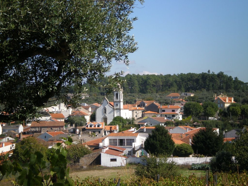 Centro Interpretativo da República Afonso Costa