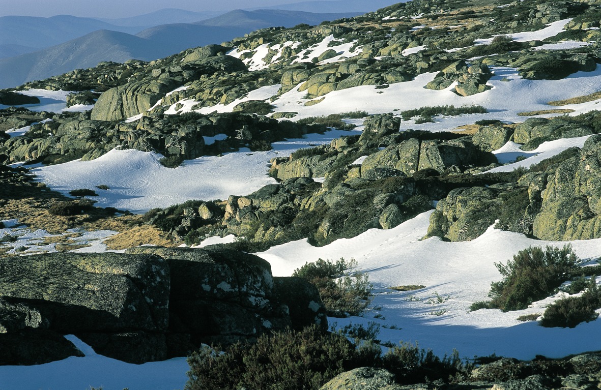Projeto SerE+ vai criar rede de aceleração de serviços da natureza na Serra da Estrela
