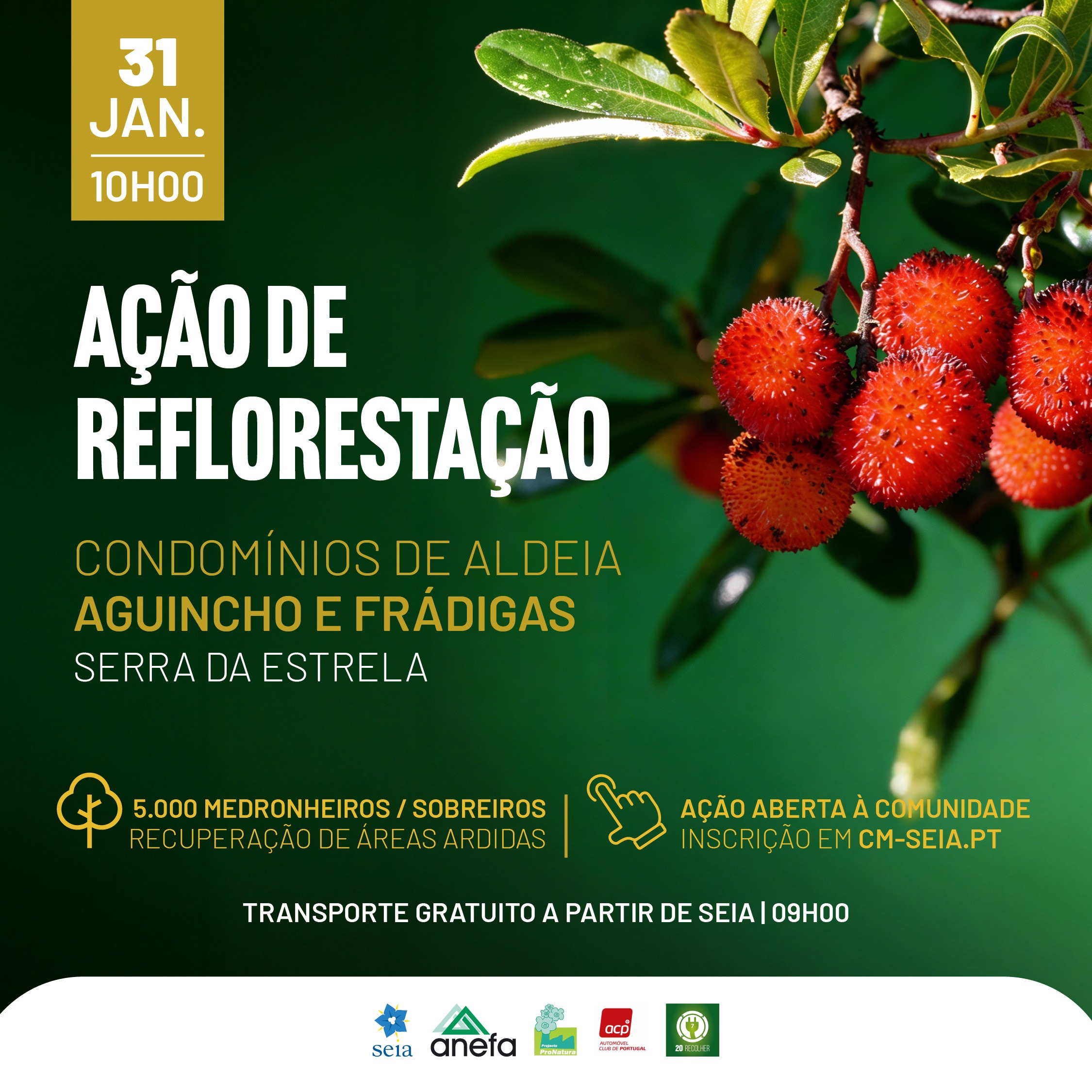 Ação de reflorestação nos Condomínios de Aldeia de Aguincho e Frádigas